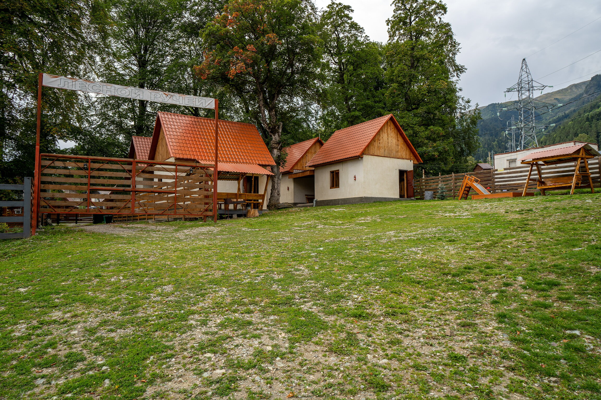 Фото Лесной ручей