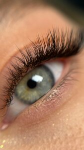 Lash. Estetika (Teplitsky Avenue, 58) ، شريط حاجب العين