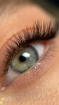 Lash. Estetika (Kalinina Street, 28Б), eyebrow and eyelash salon
