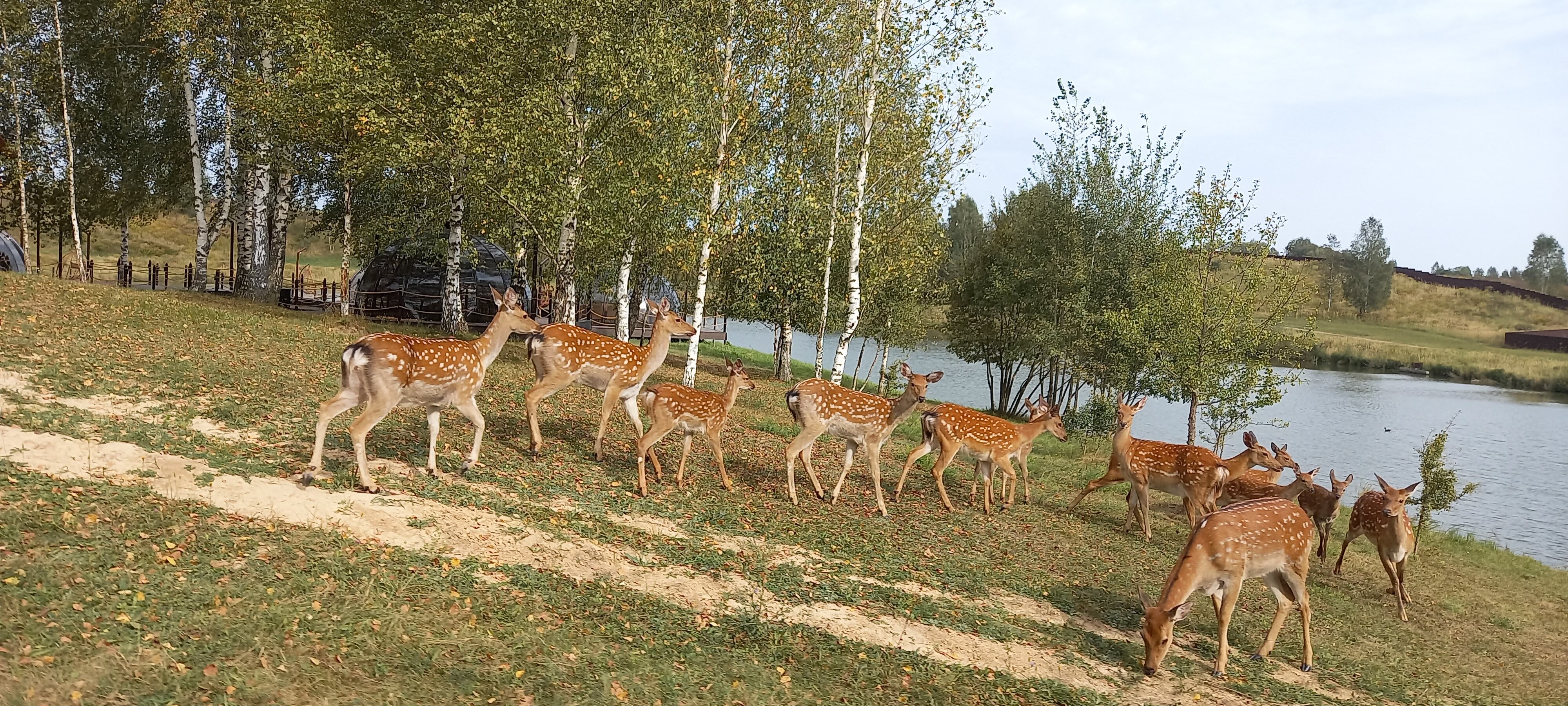 Фото Елисеевы поля