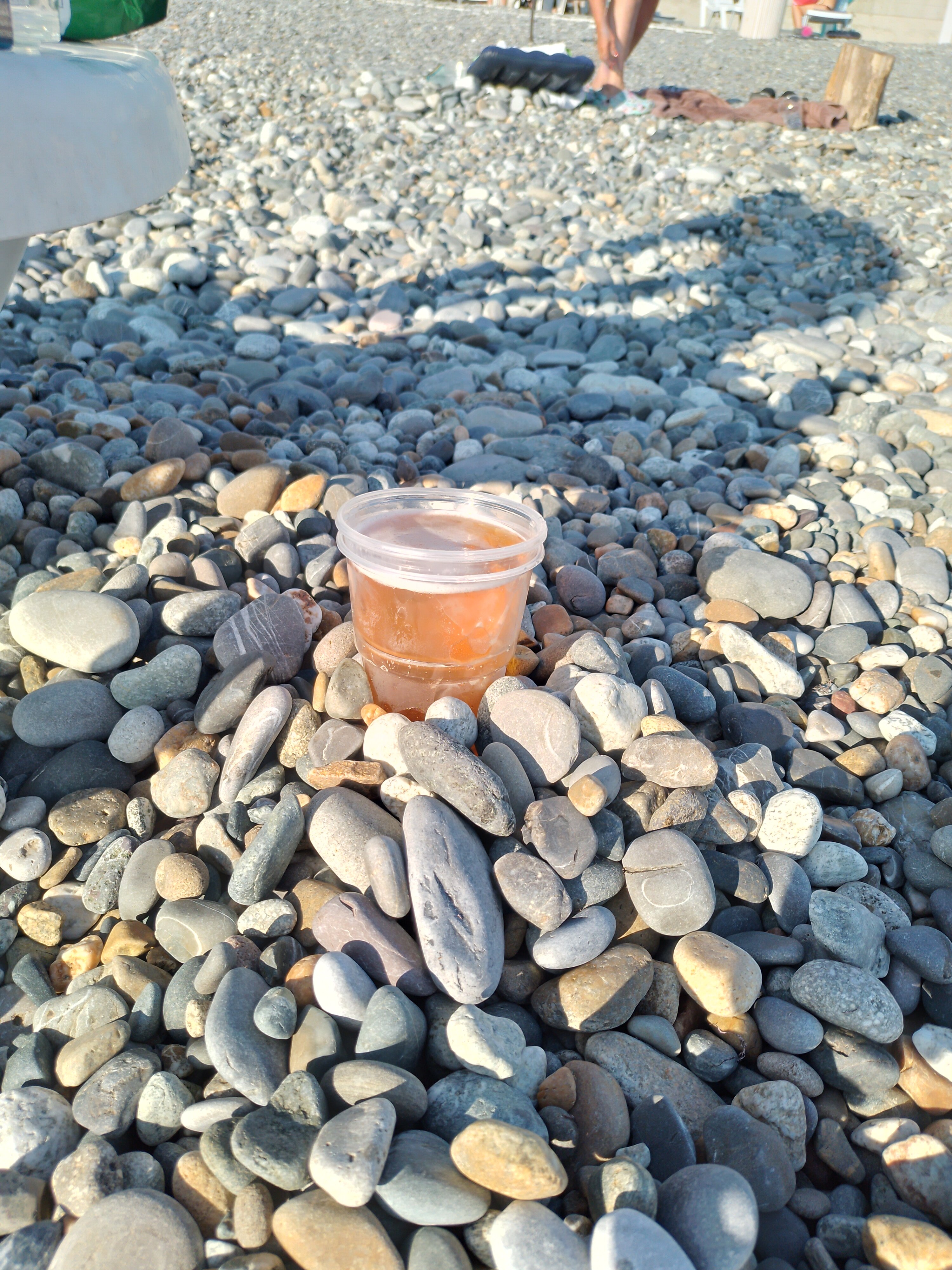 Фото Олеандр