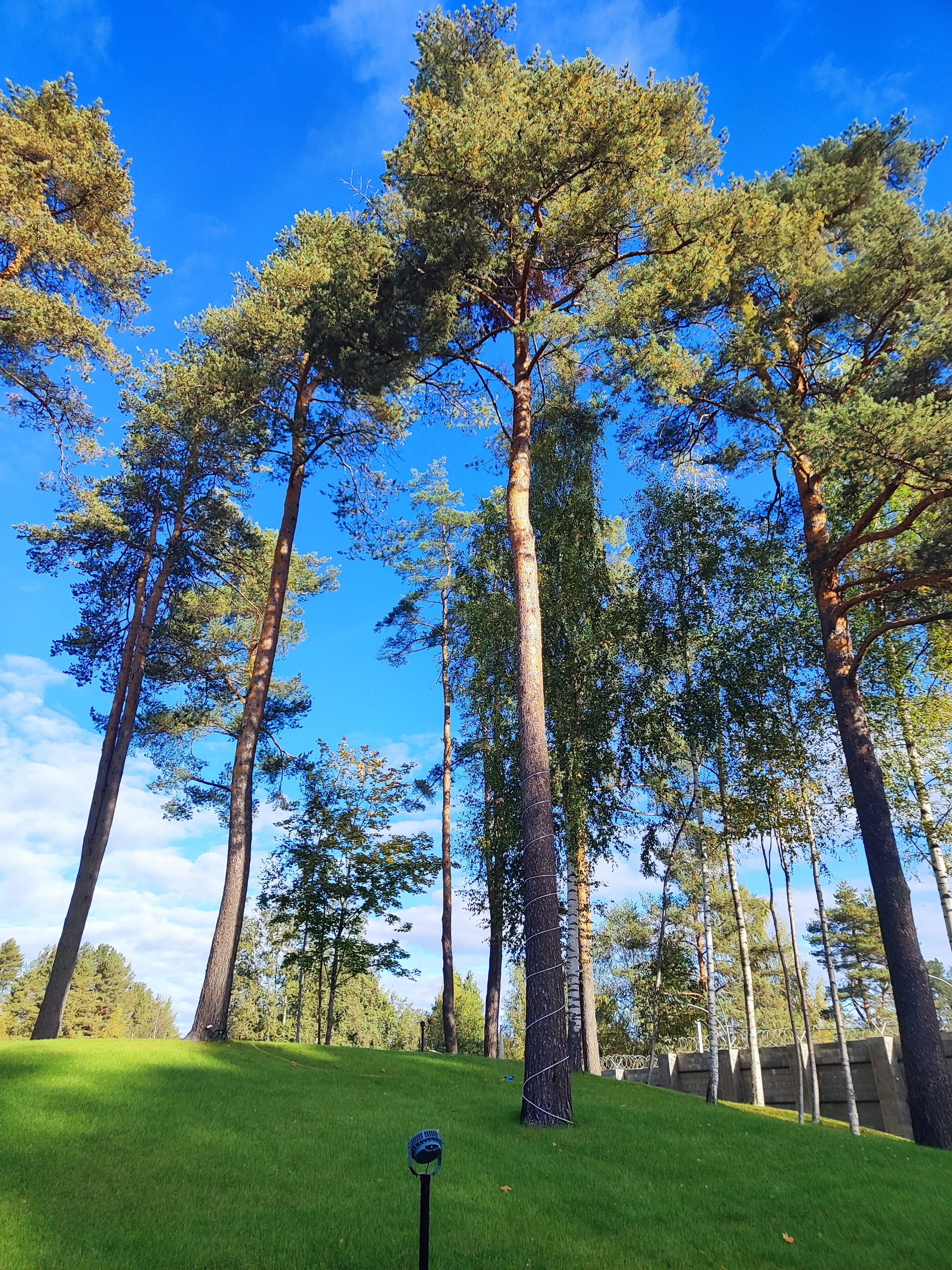 Фото Тюрьма для жира