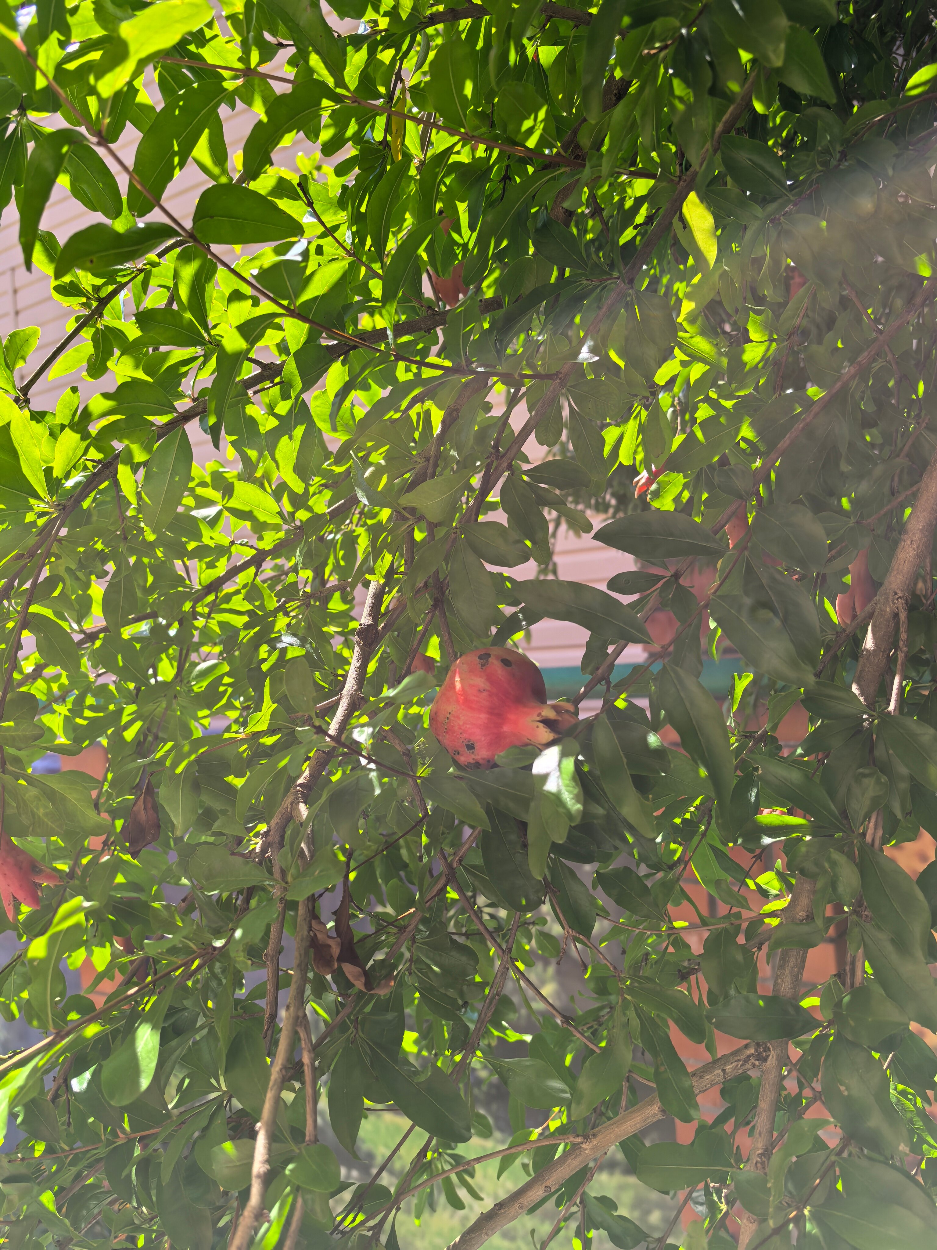 Фото Светлана