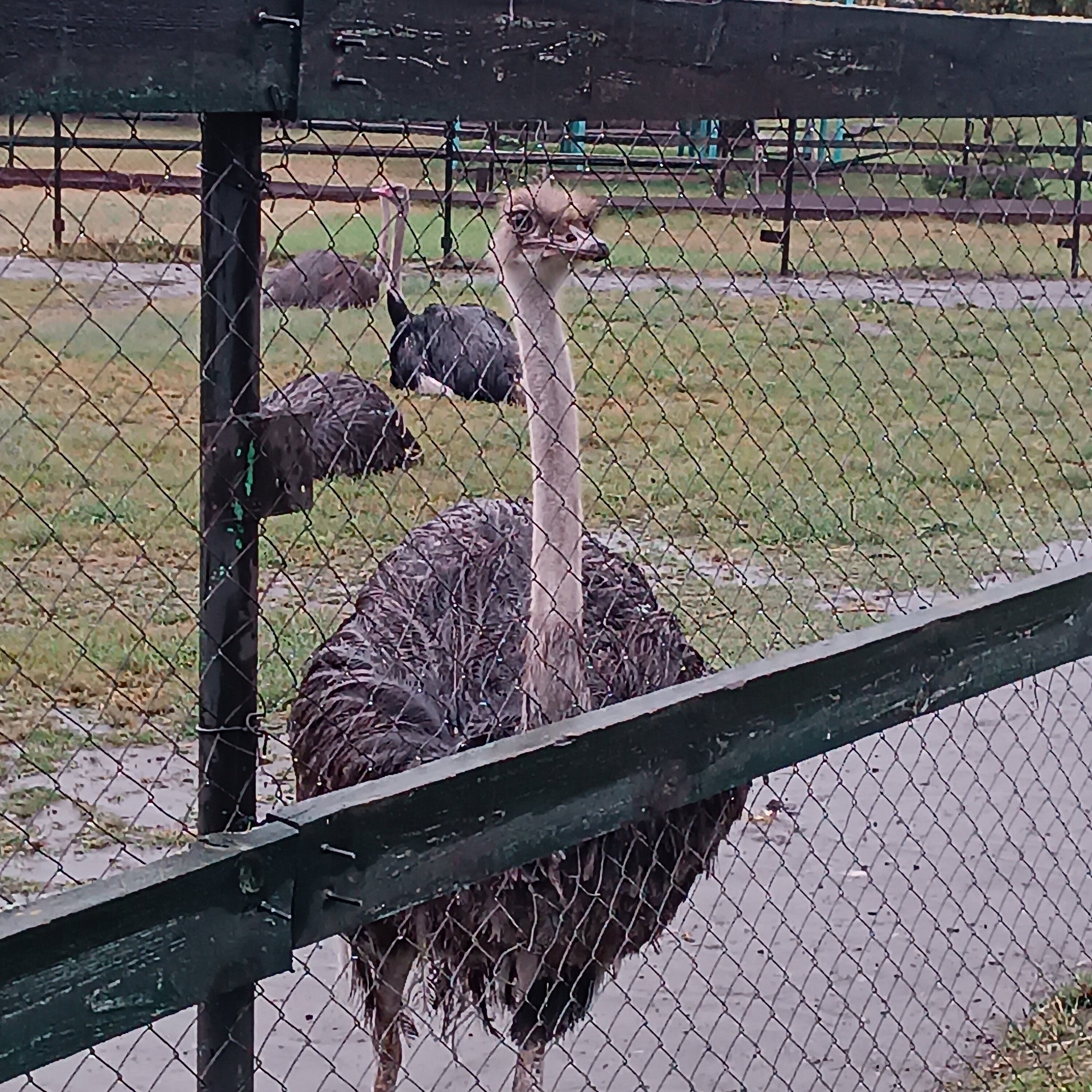 Фото Фермер