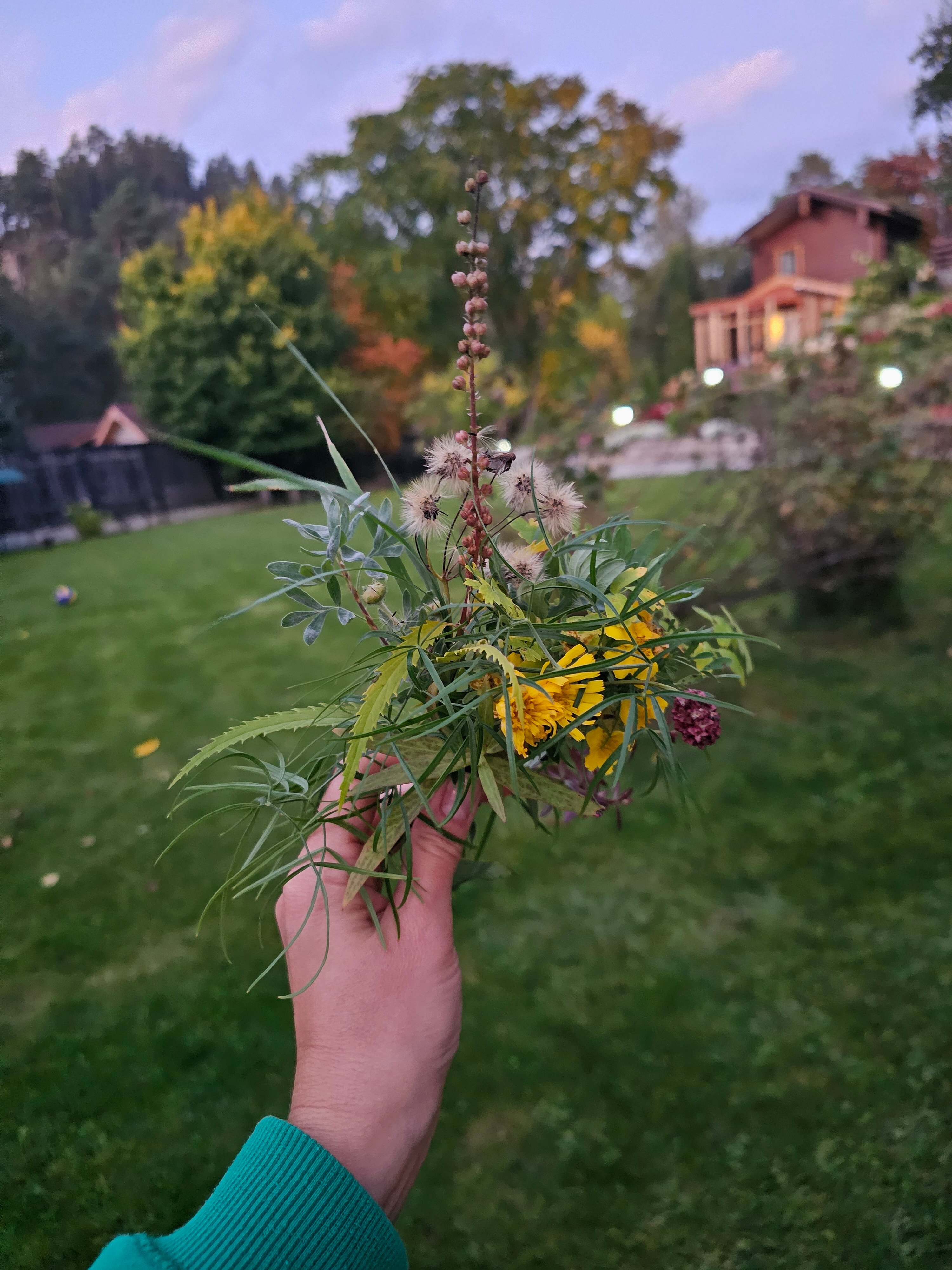 Фото Апартаменты Манжерок