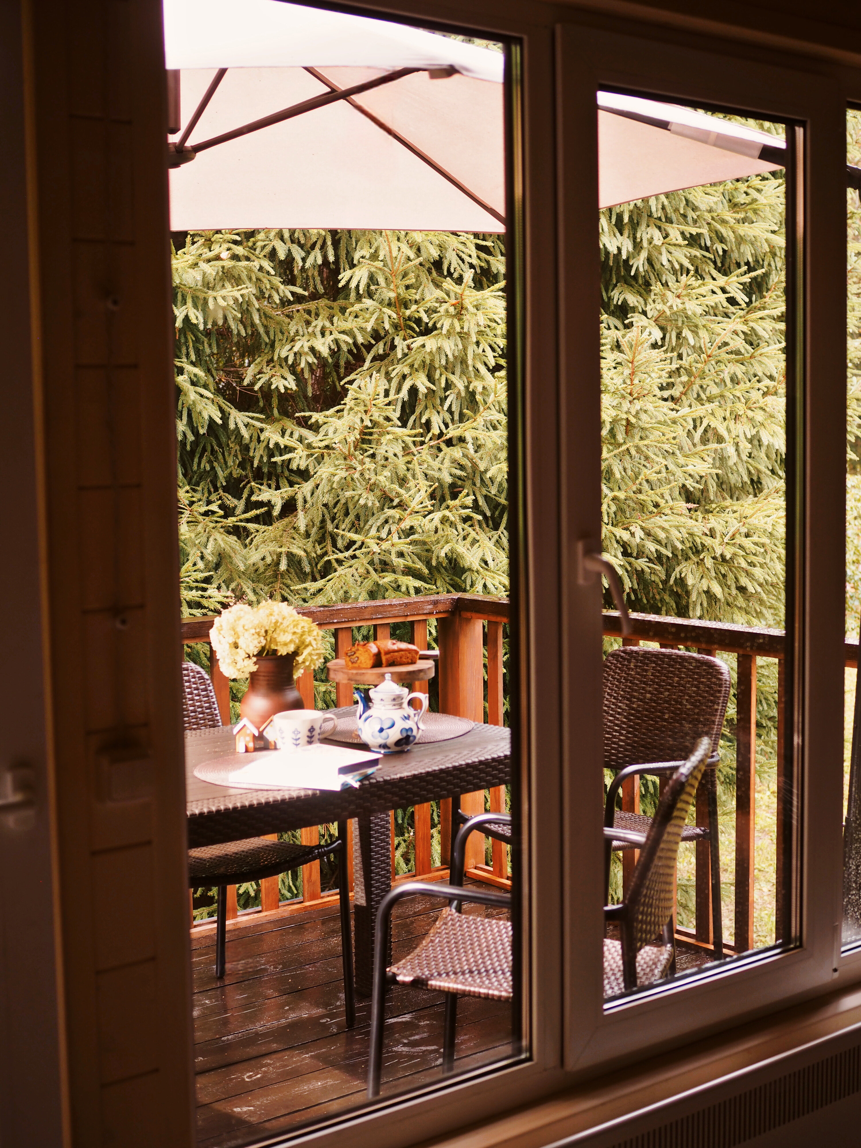 Фото Дом и Елки