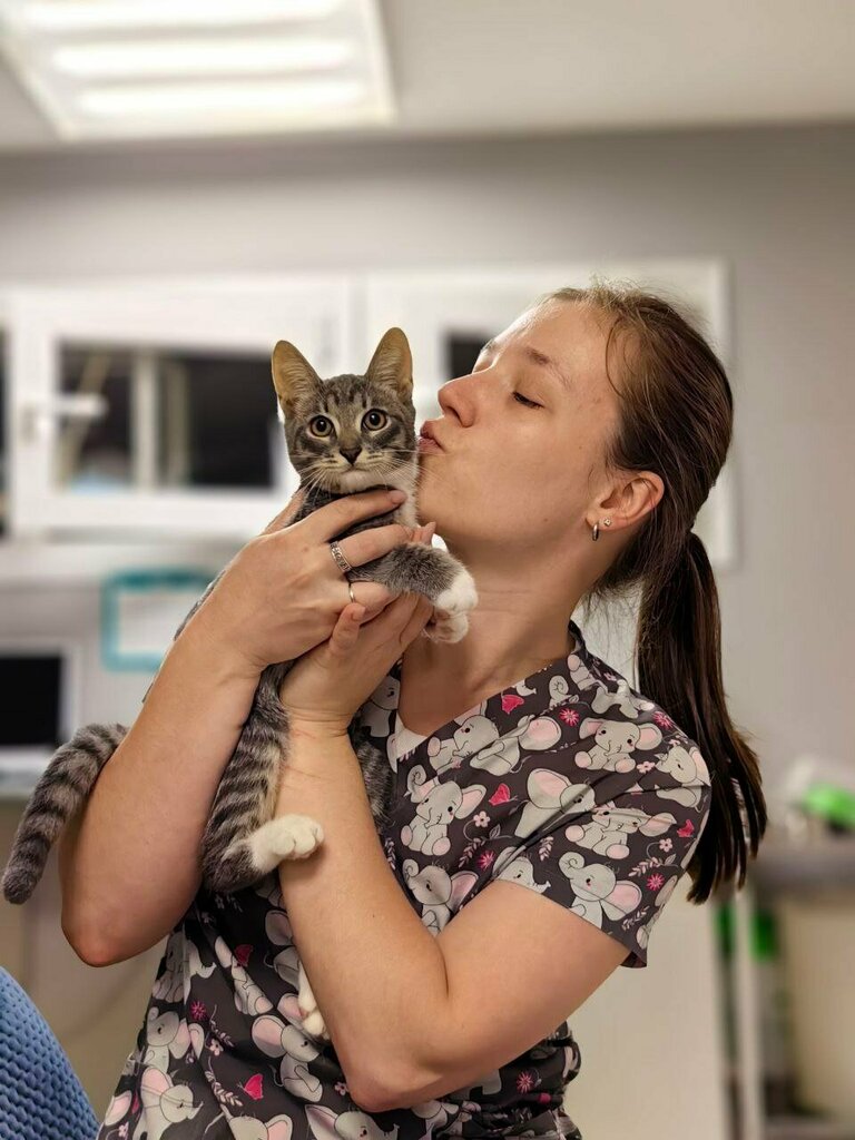 Veterinary clinic Ветеринарный центр на Ярославской, Vologda, photo