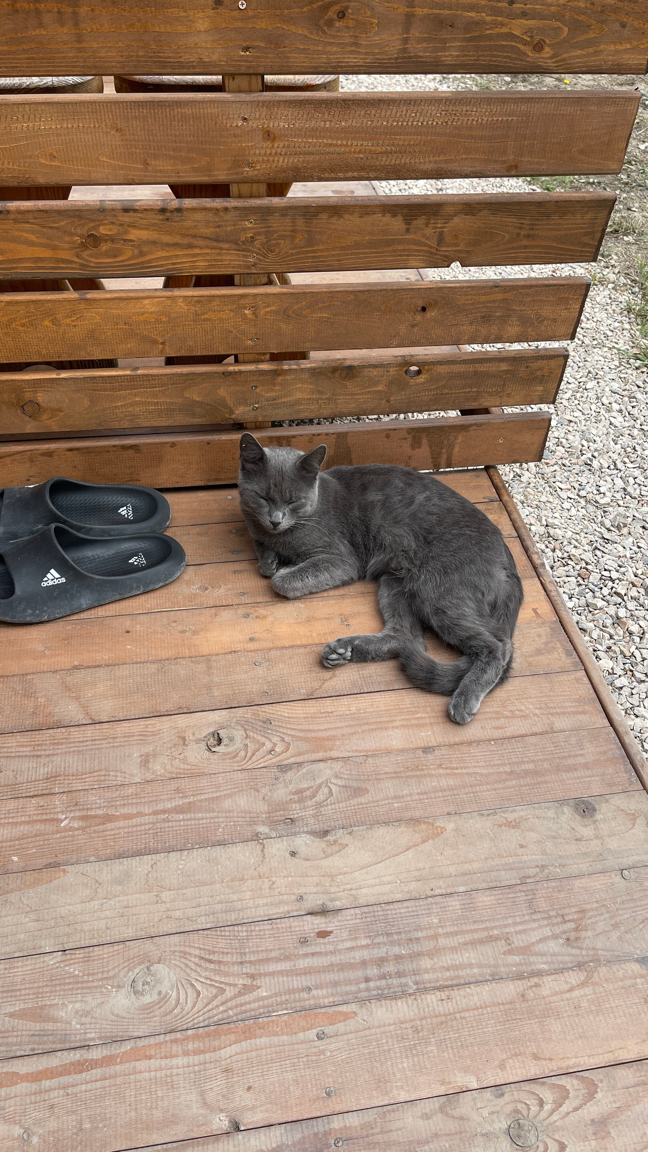 Фото У пляжа Баунти