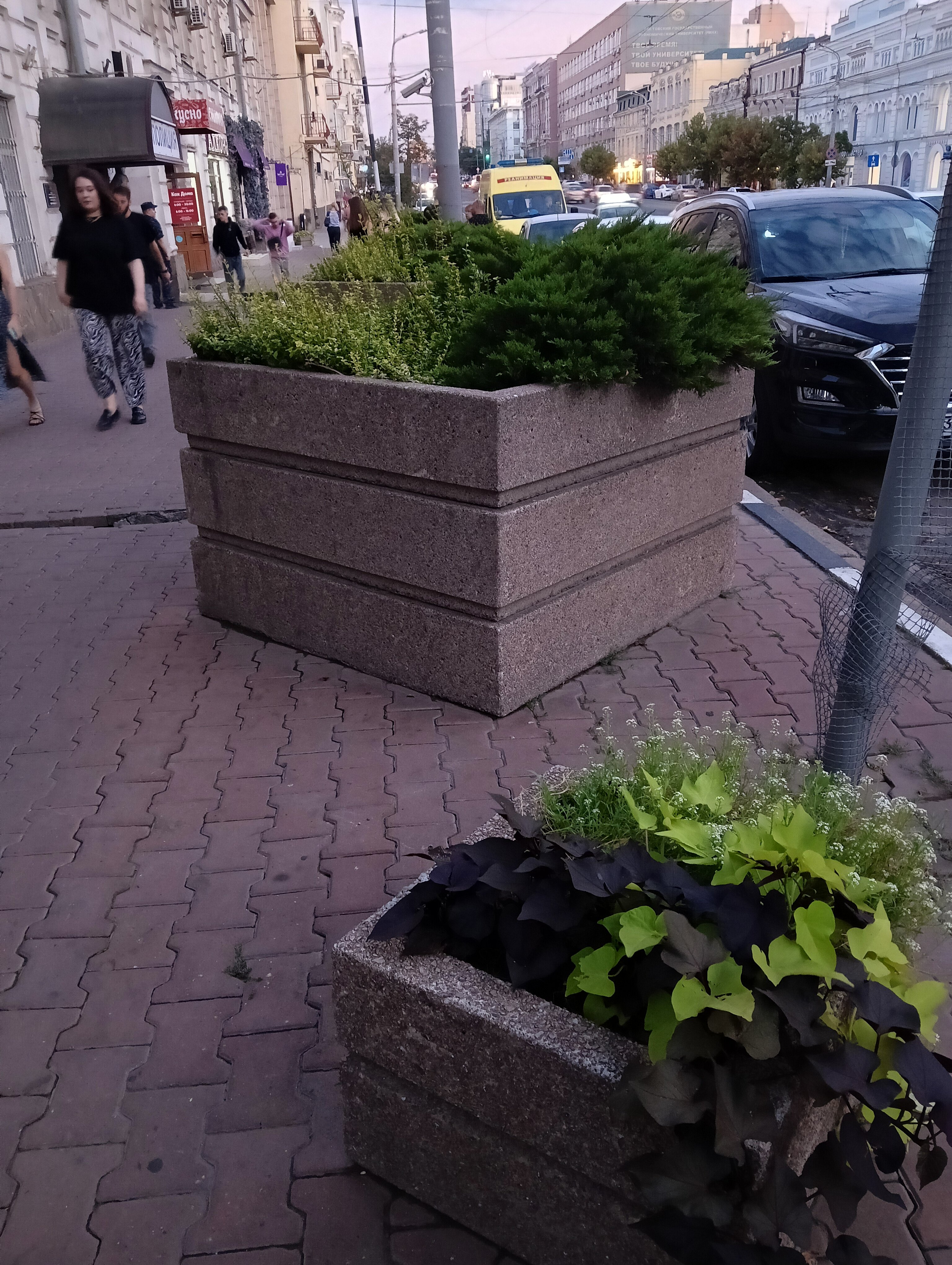 Фото Дубровский