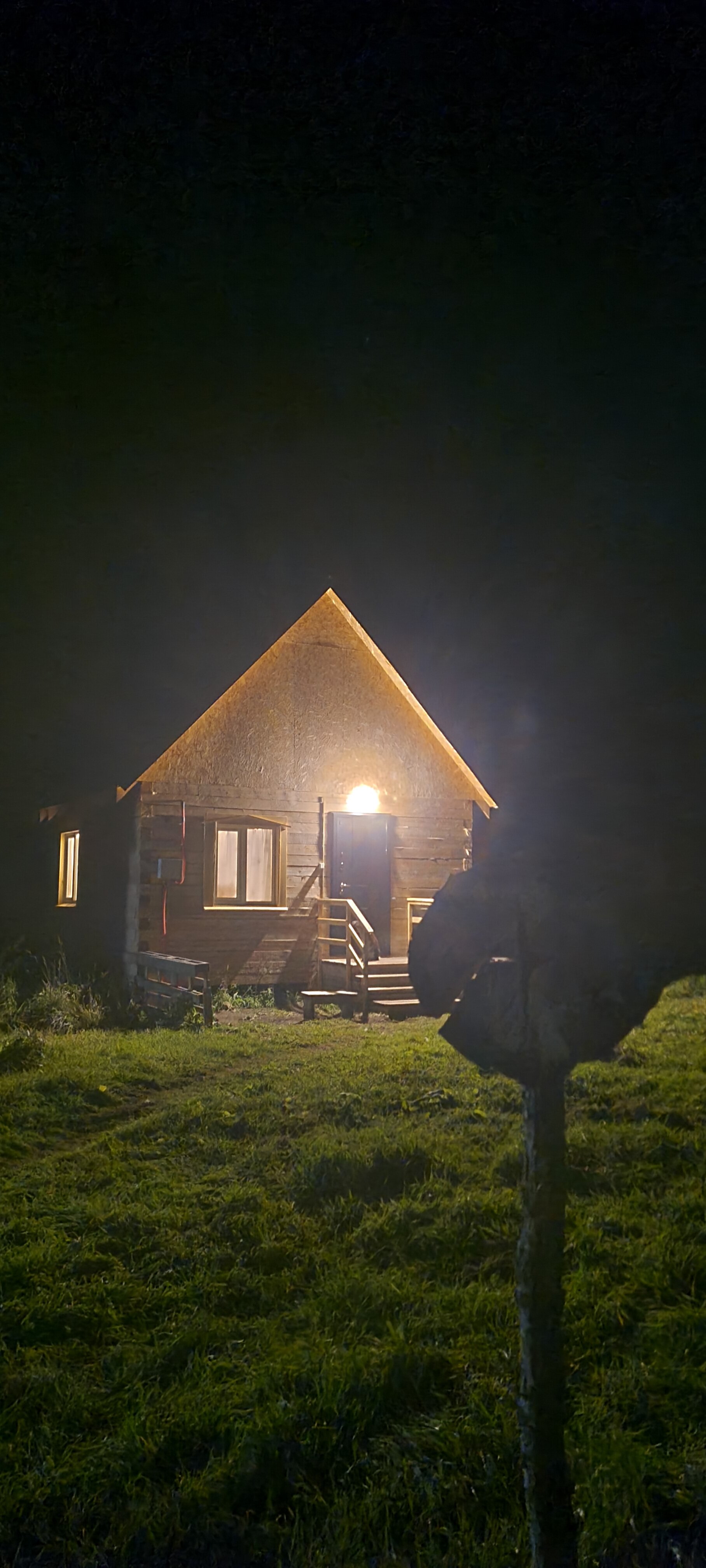 Фото Глэмпинг Стрекоза