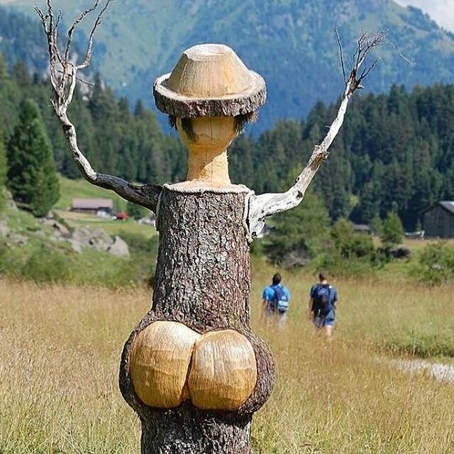 Forestry As3, Istanbul, photo