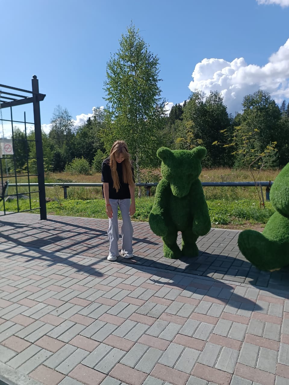 Фото Зодиак