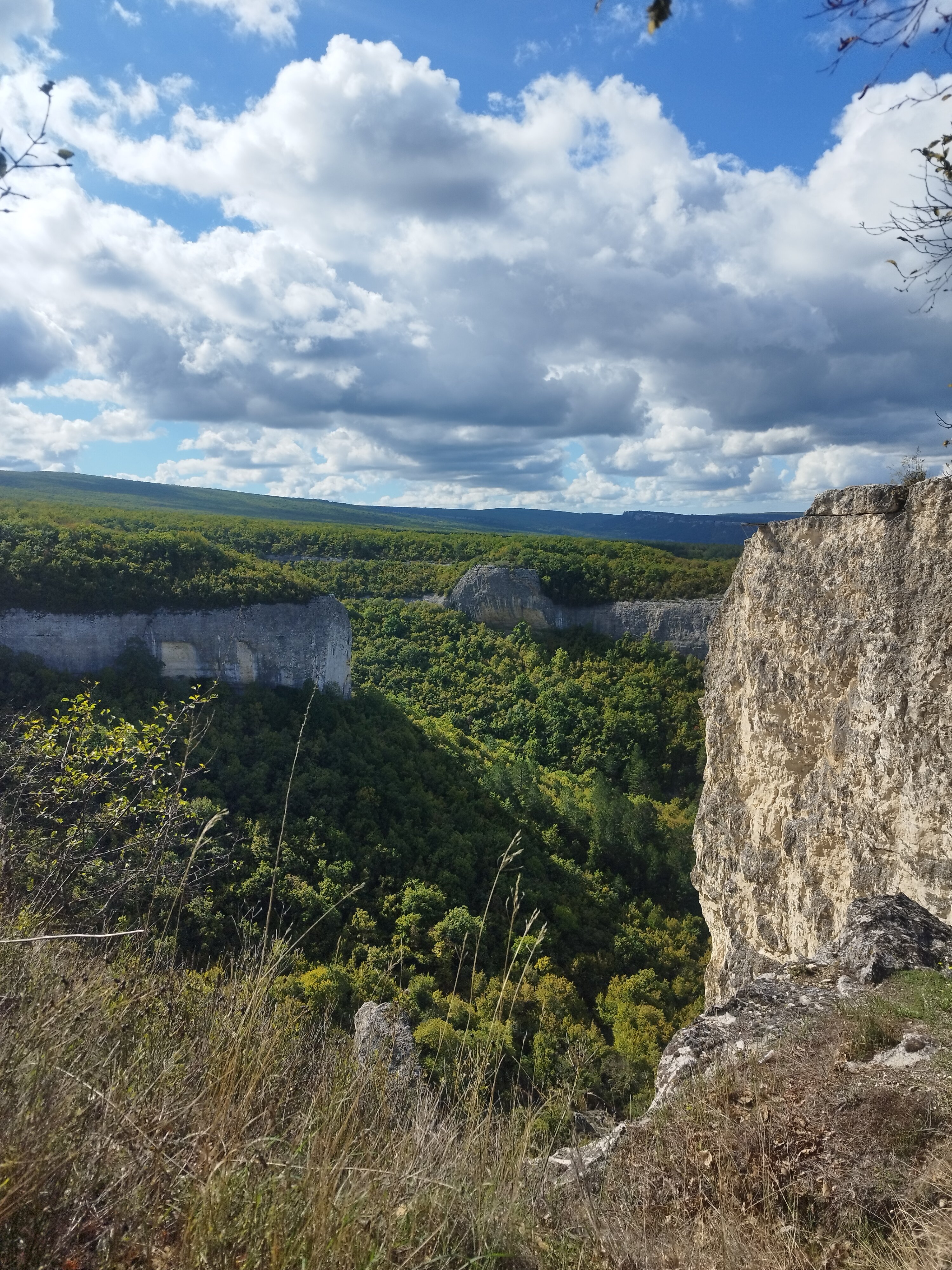 Фото Коккоз