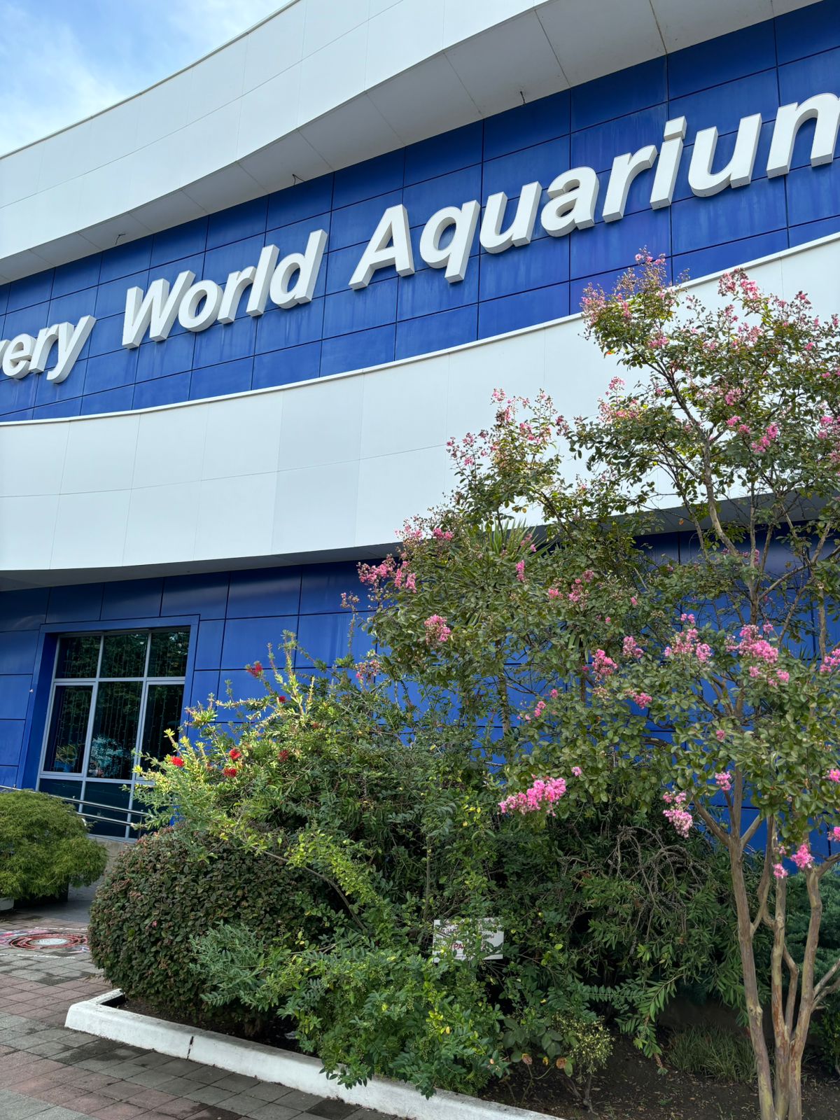 Фото Свои в Мадриде