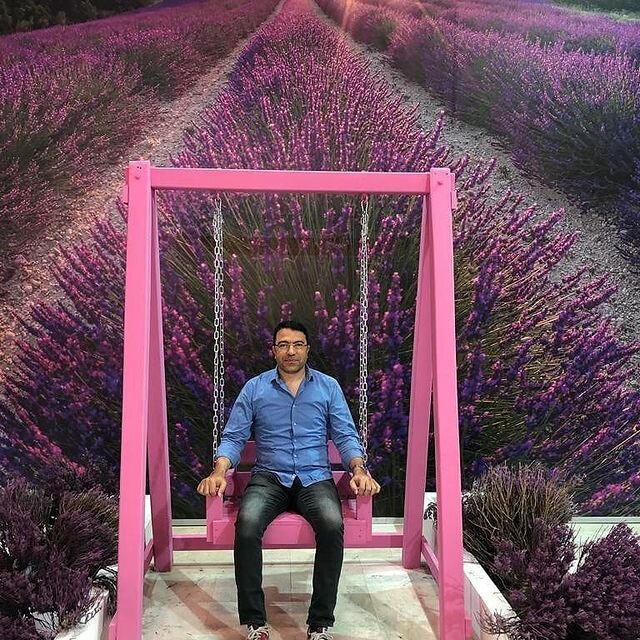 Investment company Af-Is Consultancy, Afyonkarahisar, photo