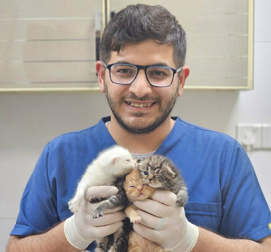 Veterinary clinic Vetland, Ajman, photo