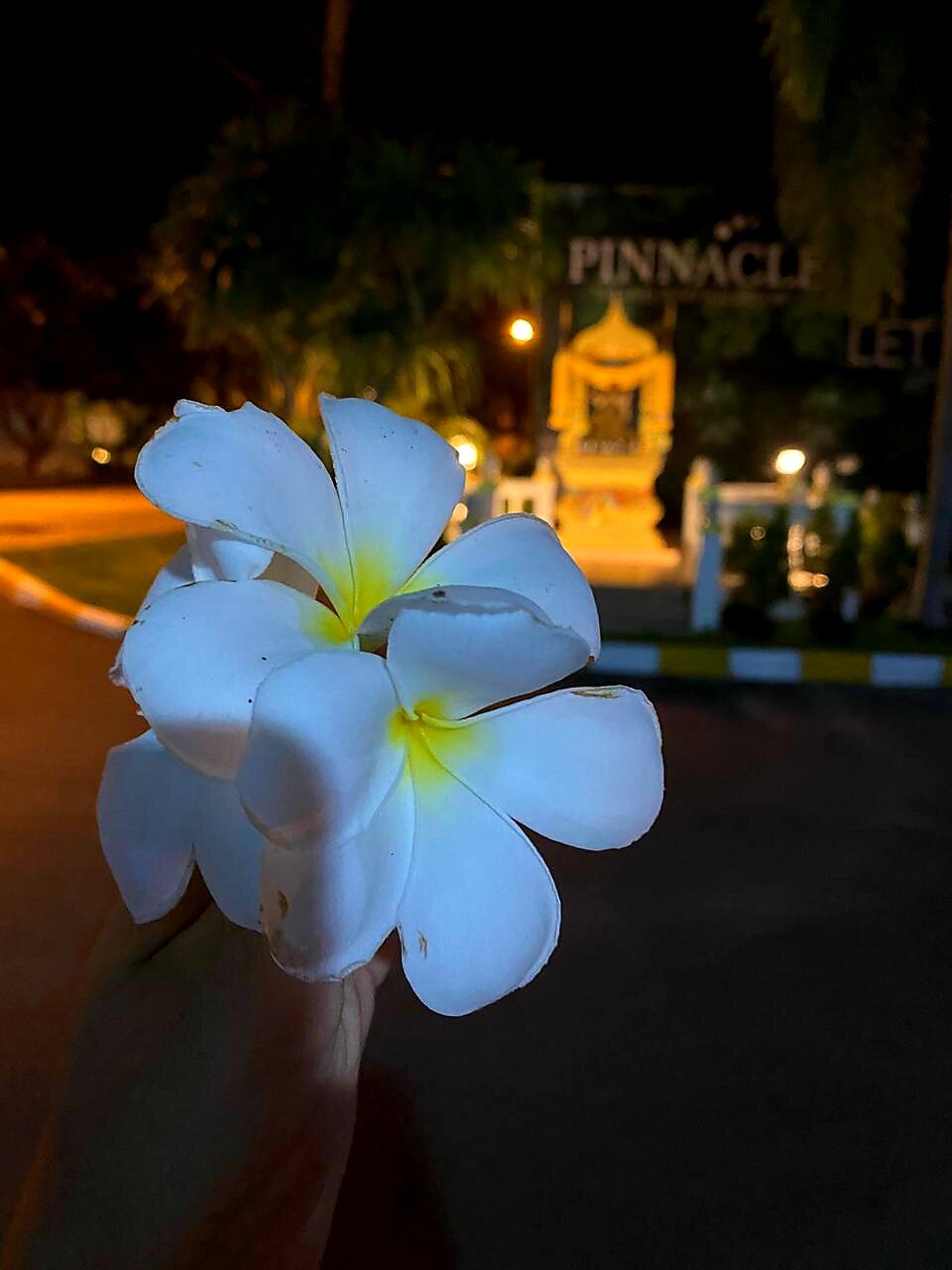 Фото Pinnacle Grand Jomtien Resort