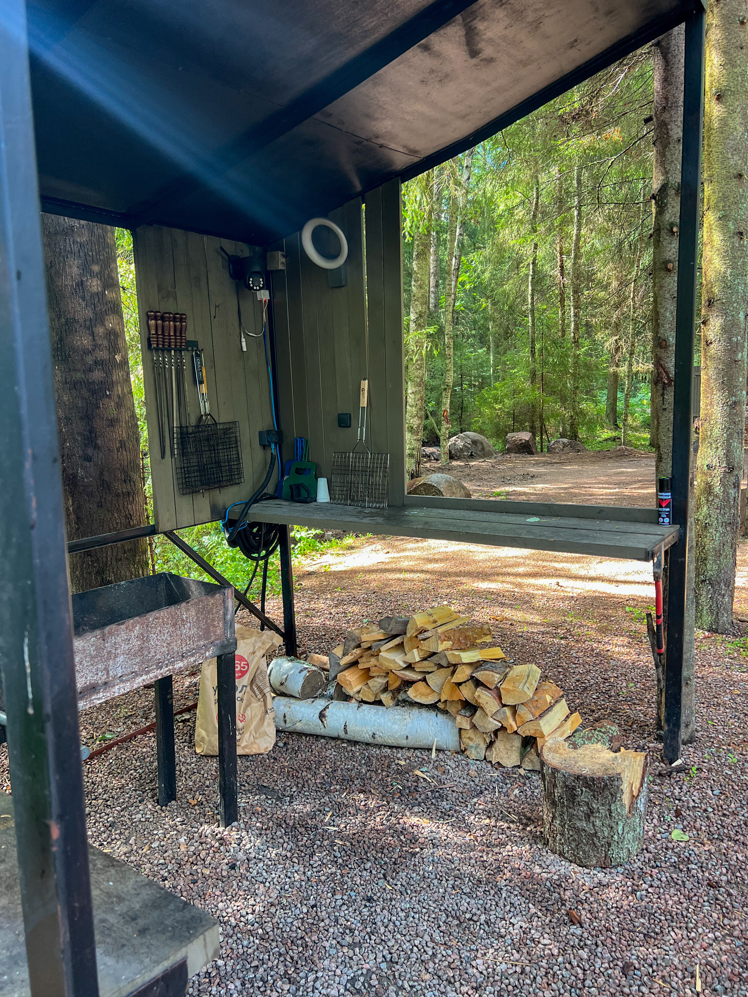 Фото Smell Of The Forest