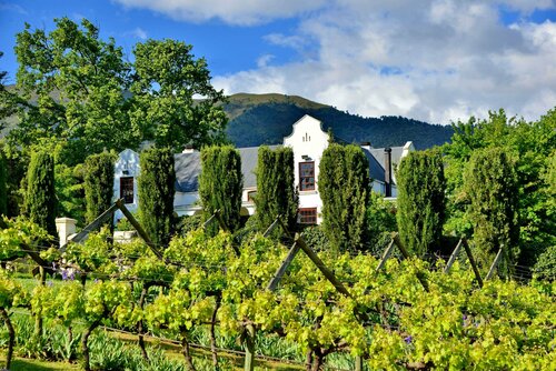 Гостиница Val du Charron Guest House & Wine Estate