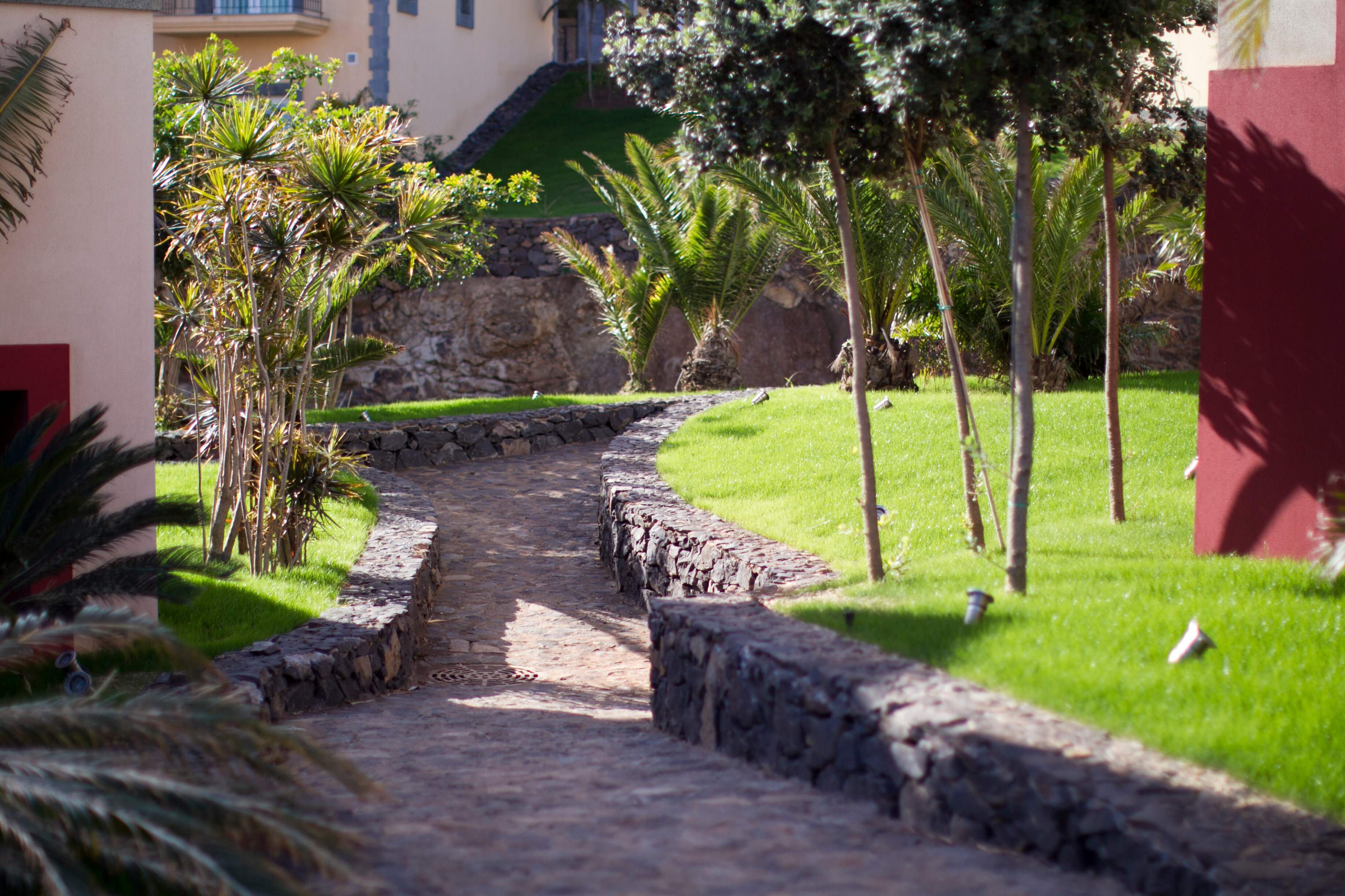 Фото Dreams Madeira Resort SPA & Marina