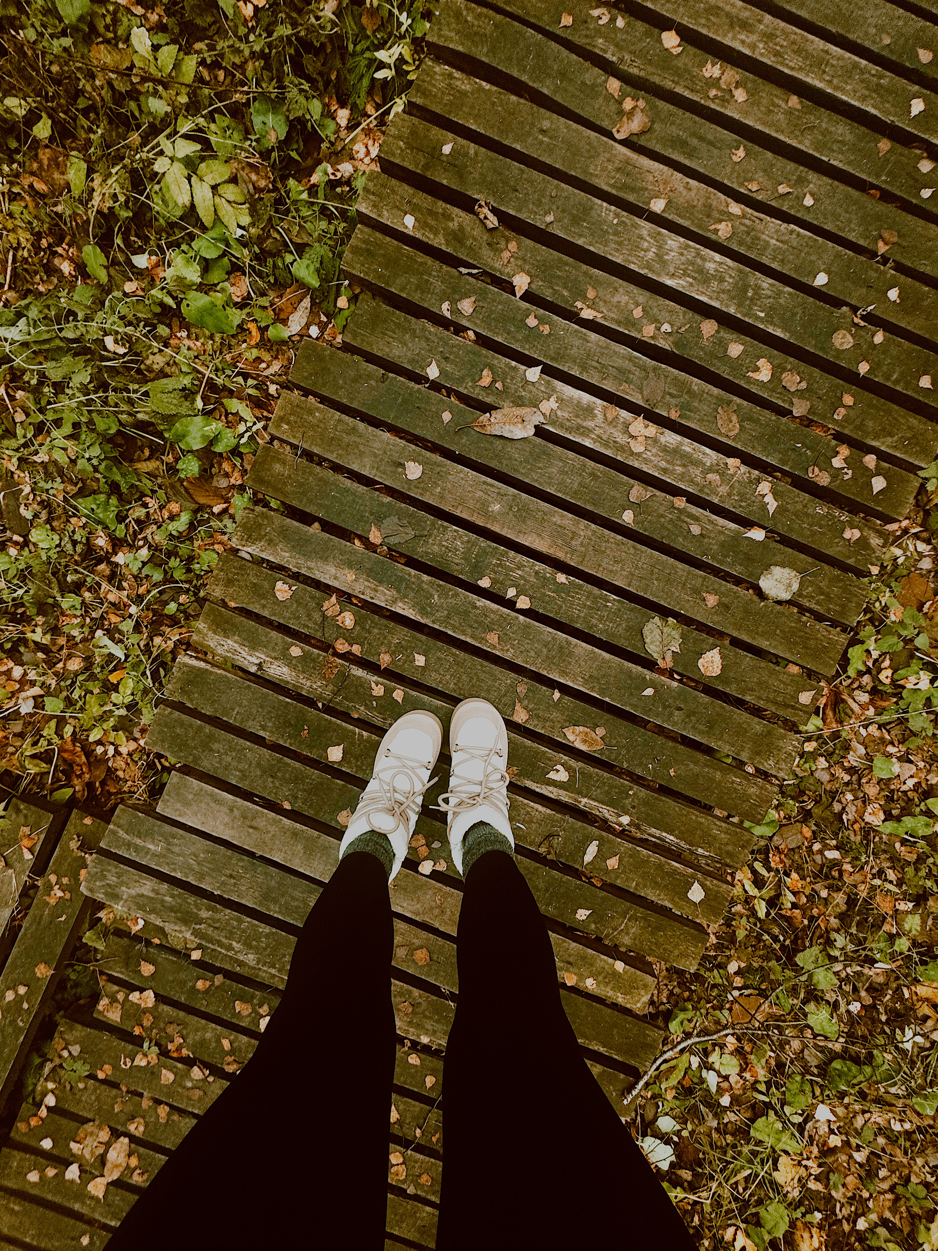 Фото Veлес glamp