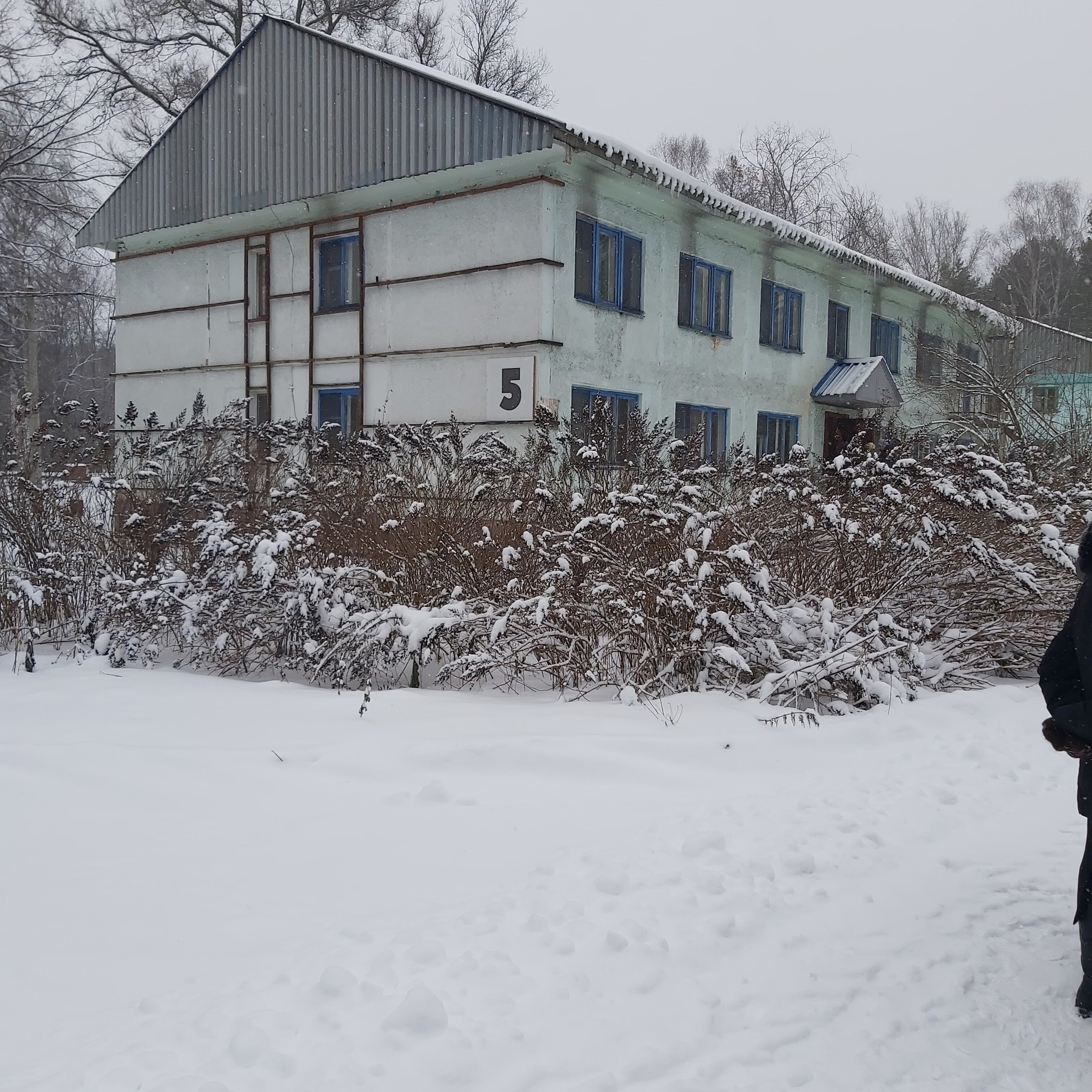 Фото Лесная сказка