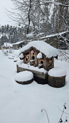 Дом отдыха Ёлочка в Коломне