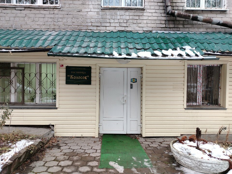 Фото Колосок