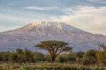 Kilimanjaro (Kilimanjaro) ، بركان