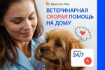 Хвостик Лео (Beryozovaya Alley, 7Б) ، عيادة بيطرية