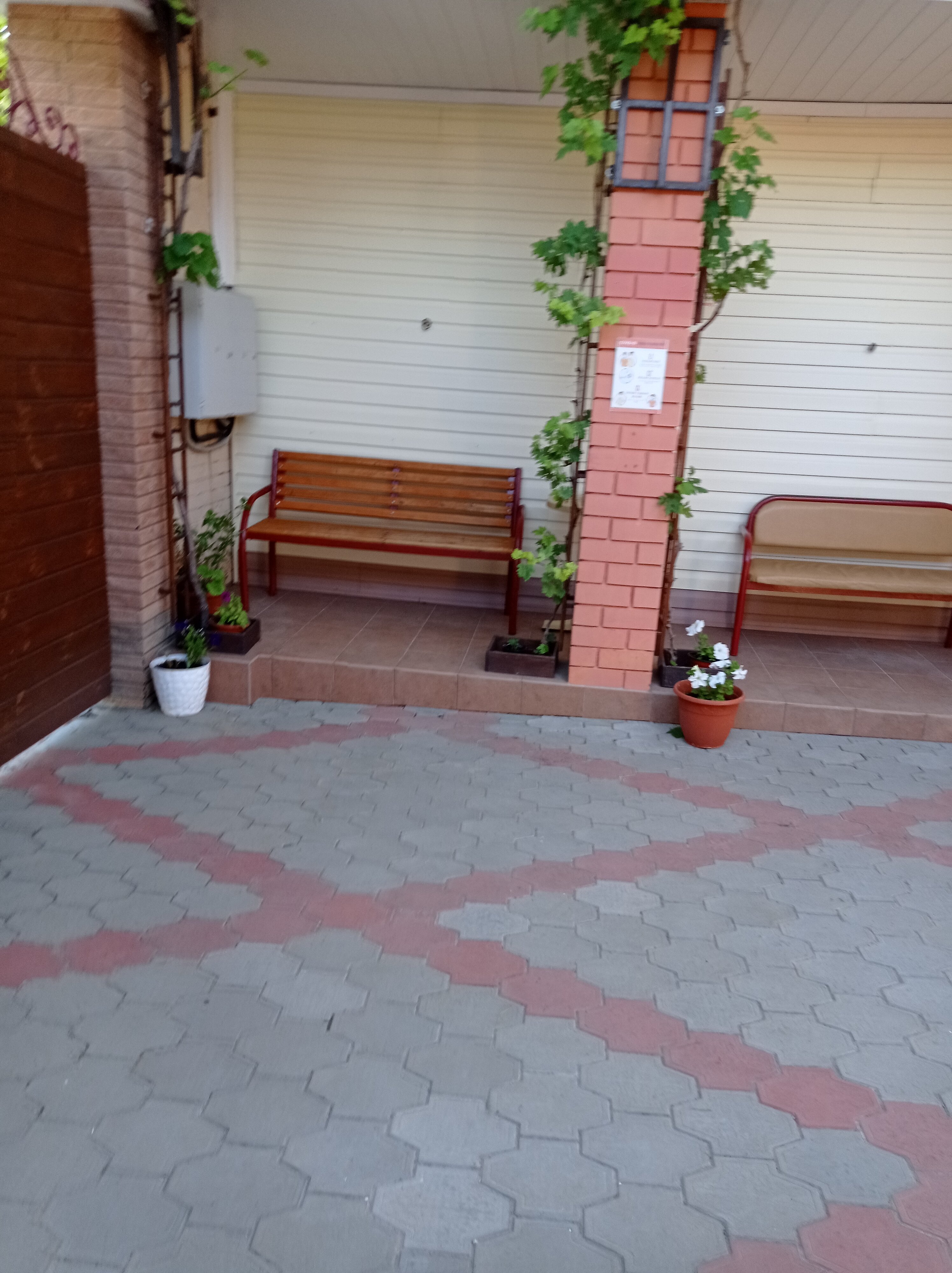 Фото Ангелина