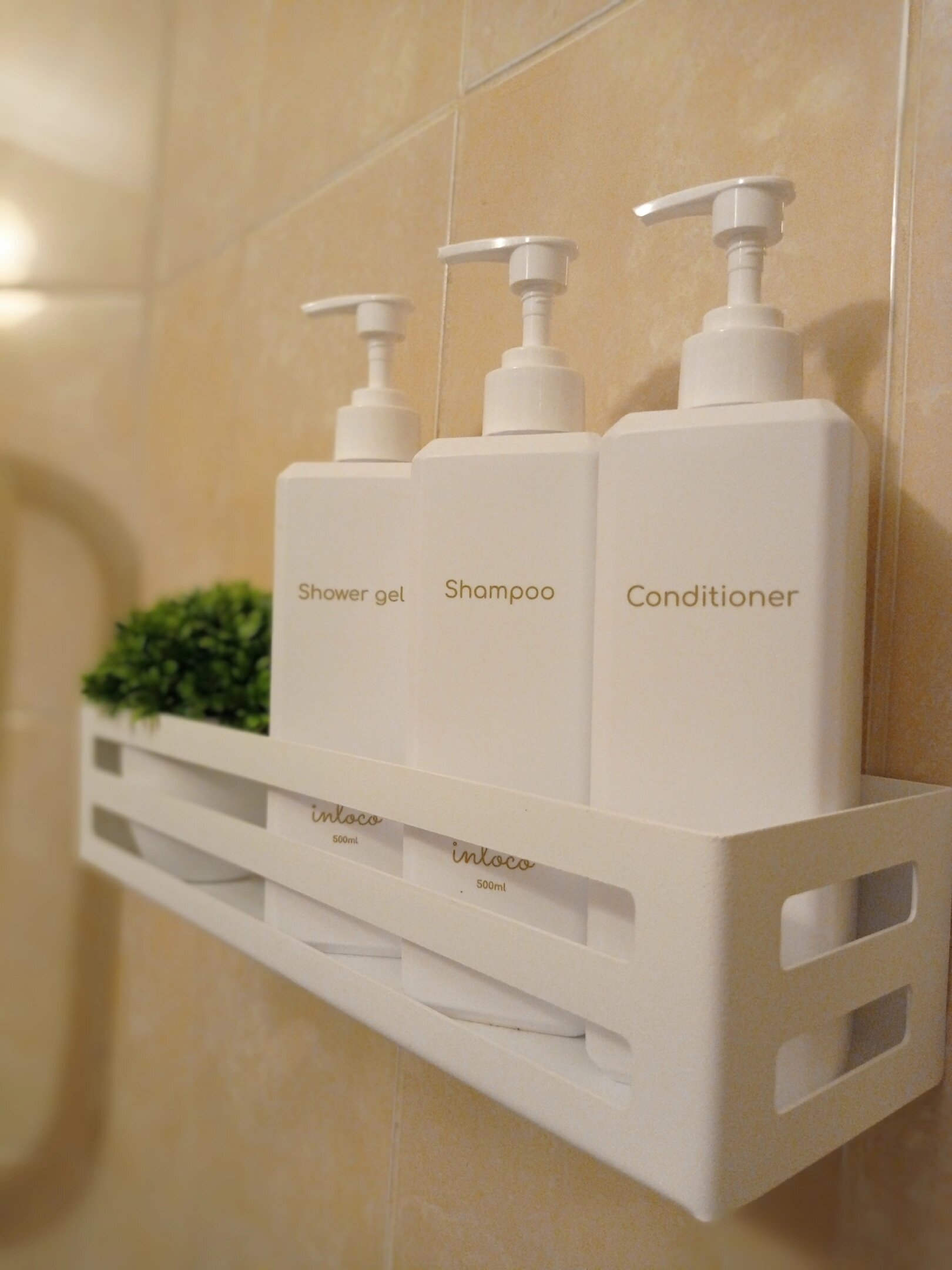 Фото Квартира посуточно в Пскове