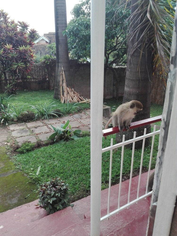 Фото Sunbird Backpackers