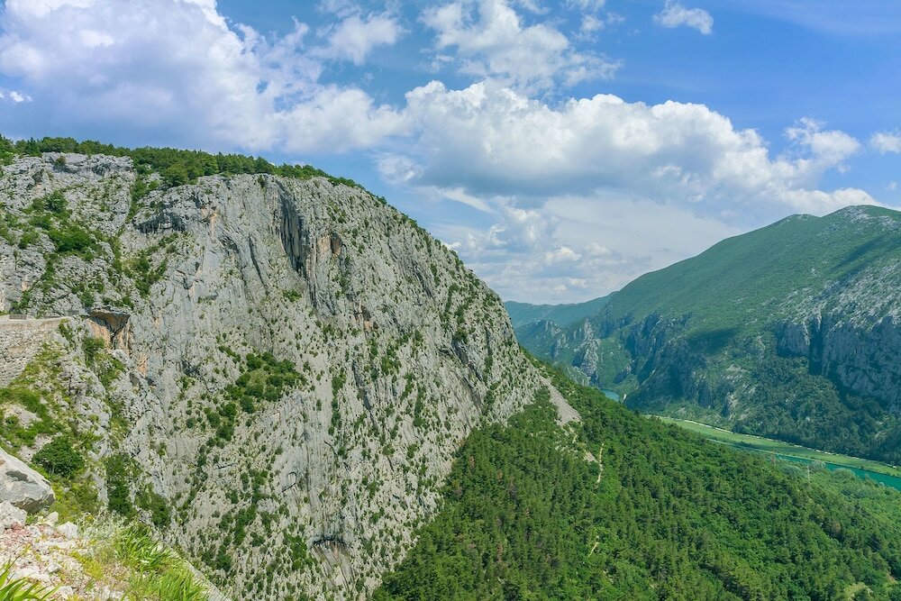 Фото House Cattleya