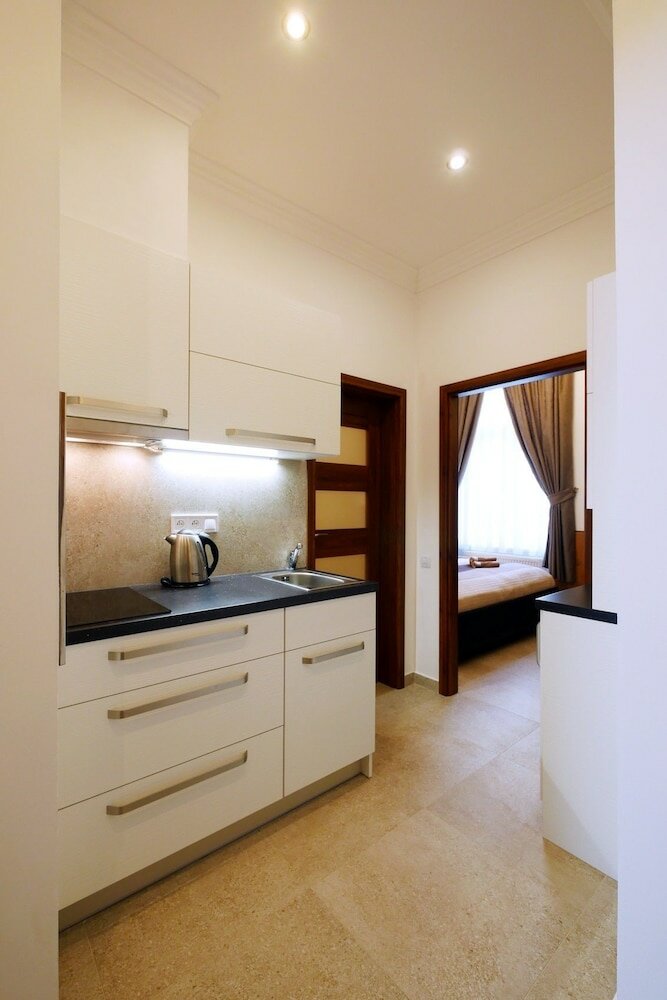 Фото Апартаменты Karla Capka Street