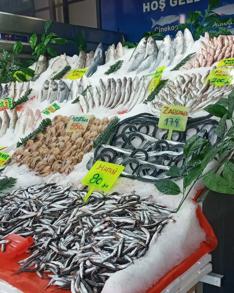 Restaurant Göksu Balıkçısı Pişirme Evi, Ankara, photo