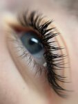 LashLed (Lenin Avenue, 73), eyebrow and eyelash salon