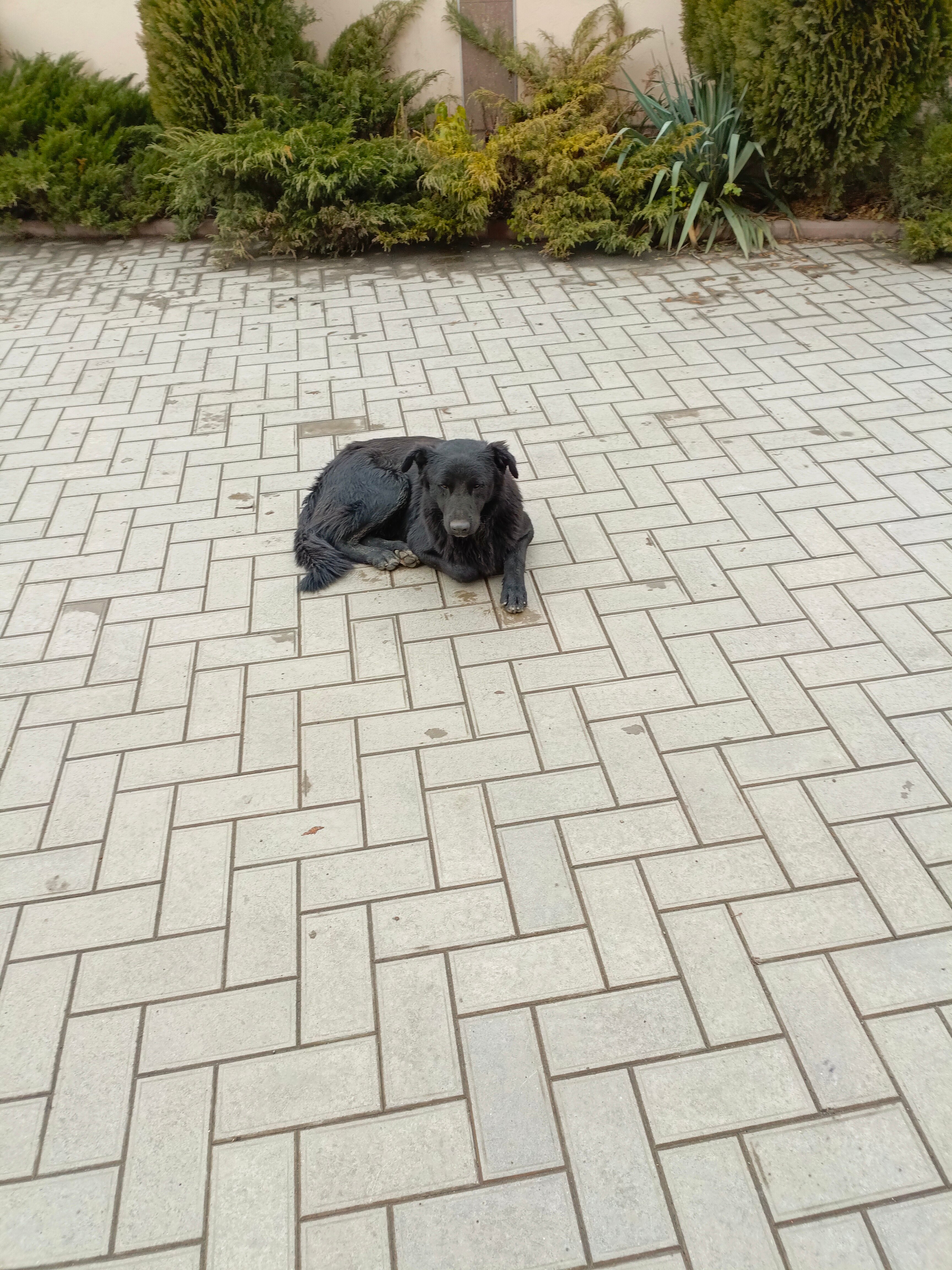 Фото Дарьял