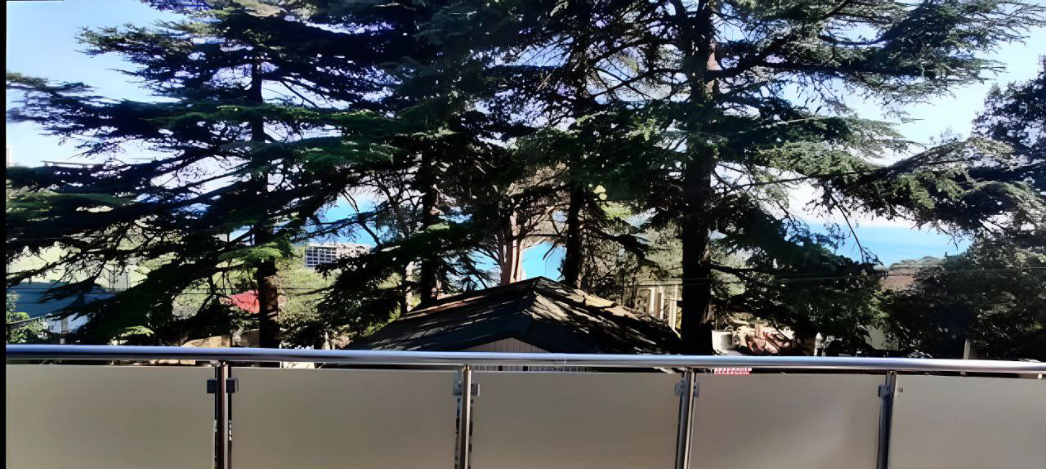 Фото Magic Kingdom