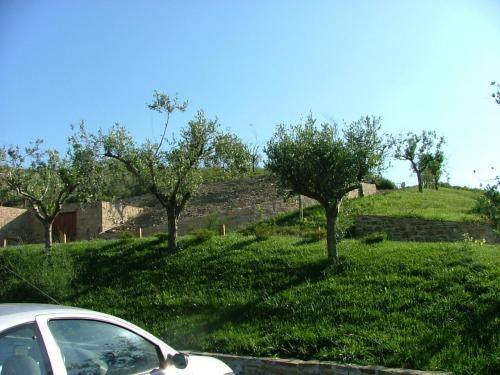 Фото Sulle Onde Della Collina