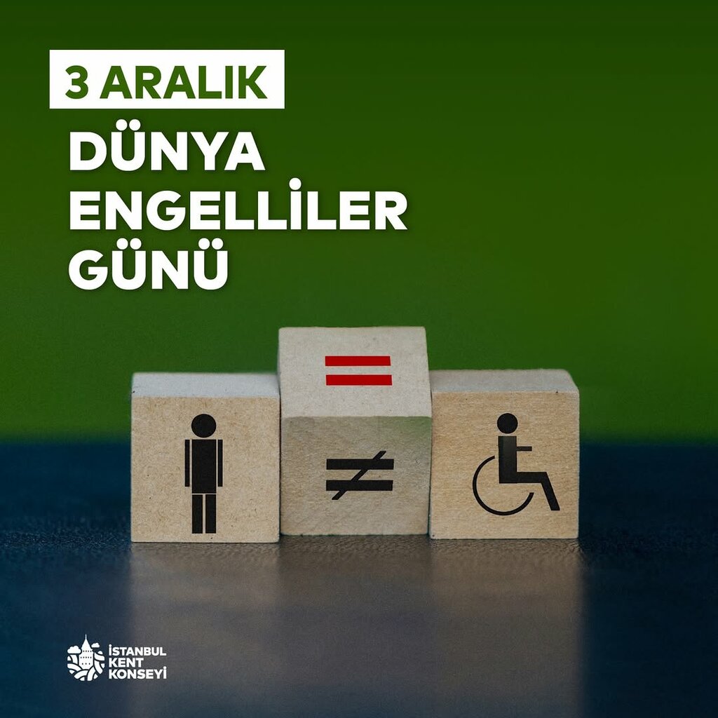 Centers of state and municipal services Istanbul City Council, Istanbul, photo
