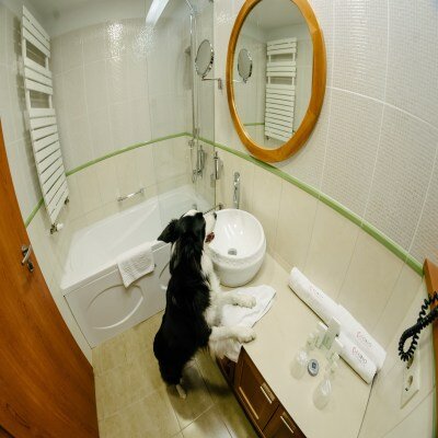 Фото Corso Hotel Pécs