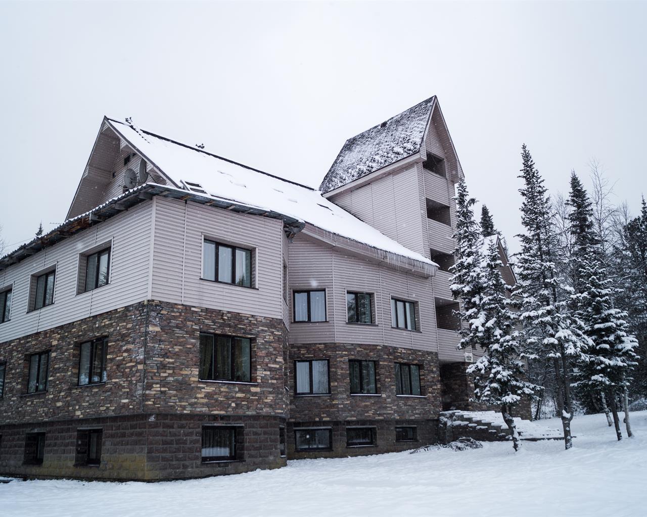 Фото Гринберг