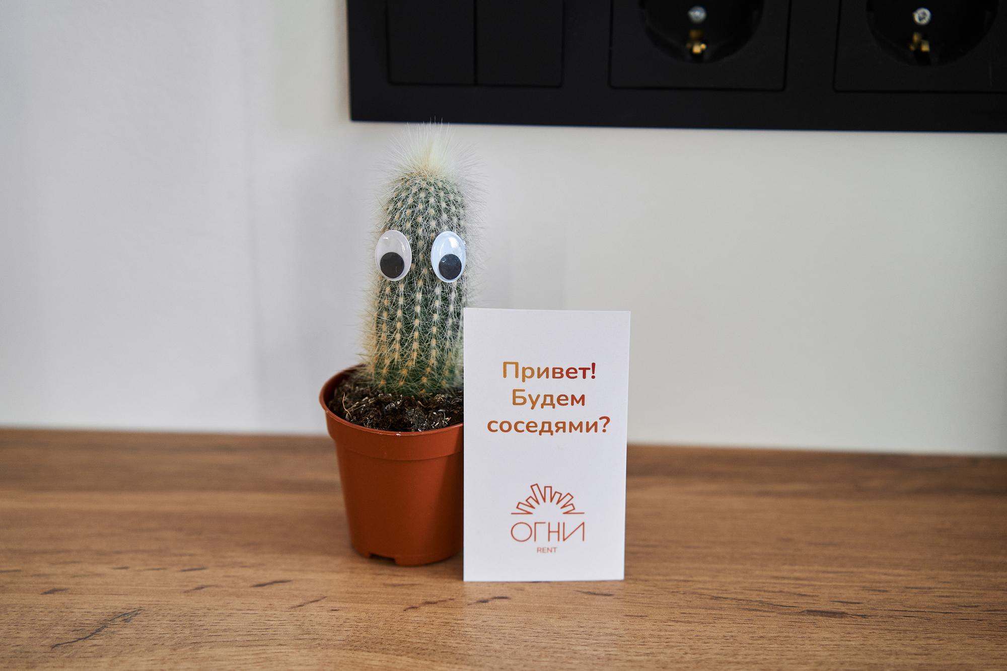 Фото Премьер