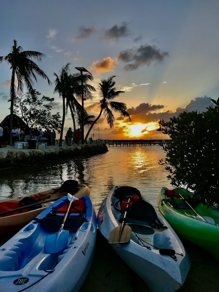 Фото Coconut Palm Inn