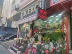 Elite Floristry (Istanbul, Gungoren, Necip Fazil Kisakurek Avenue, 119A), flower shop