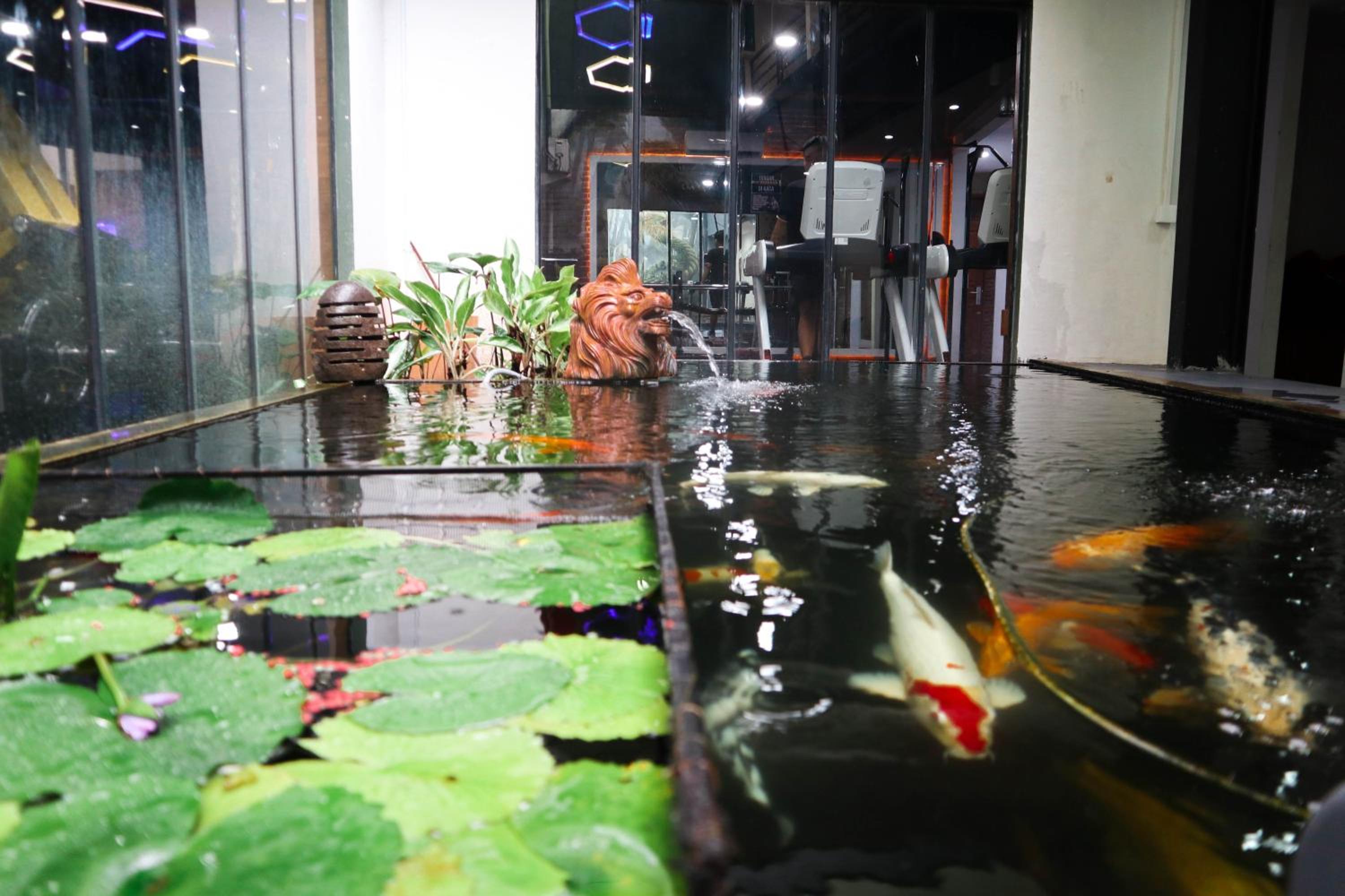 Фото Helios Hotel