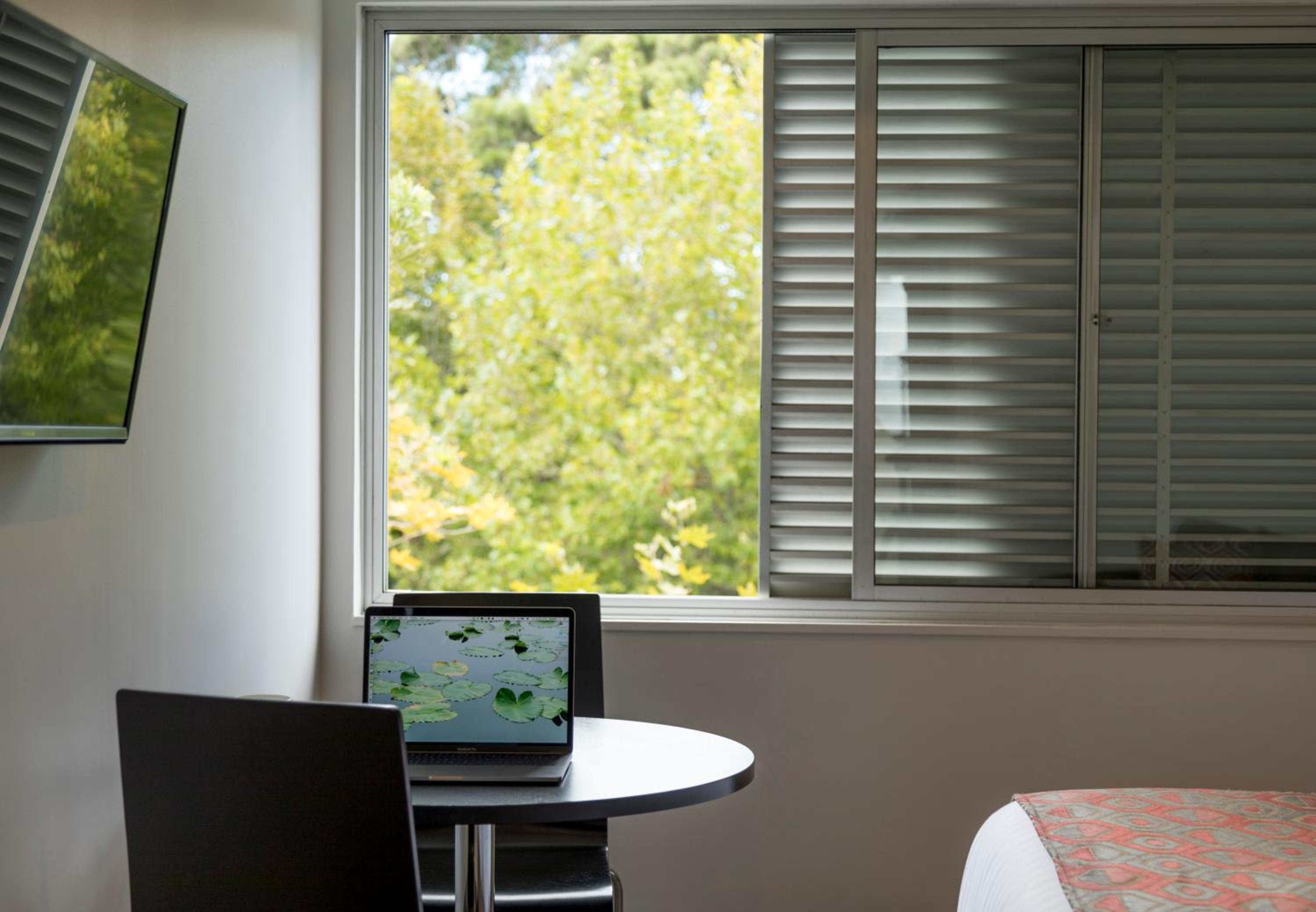 Фото Quest Ponsonby