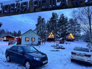 Дом под соснами