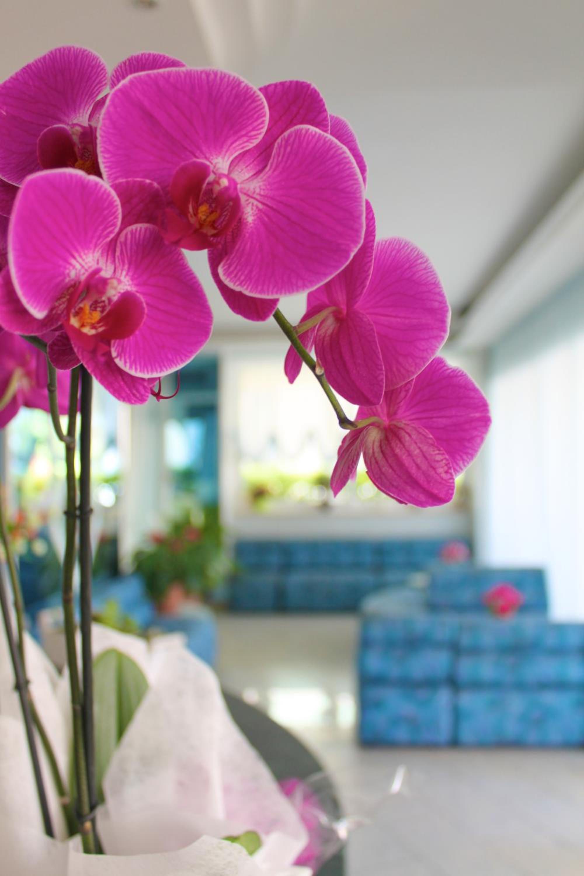 Фото Hotel San Paolo